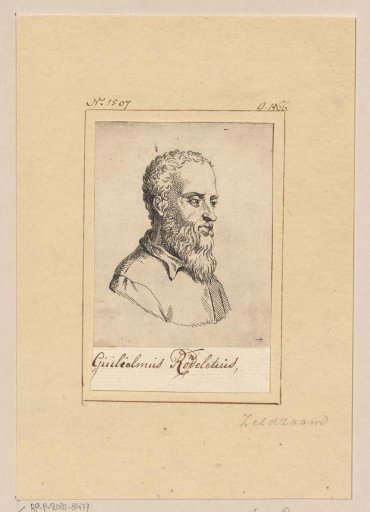 Portrait of Guillaume Rondelet