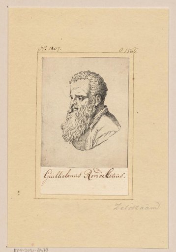 Portrait of Guillaume Rondelet