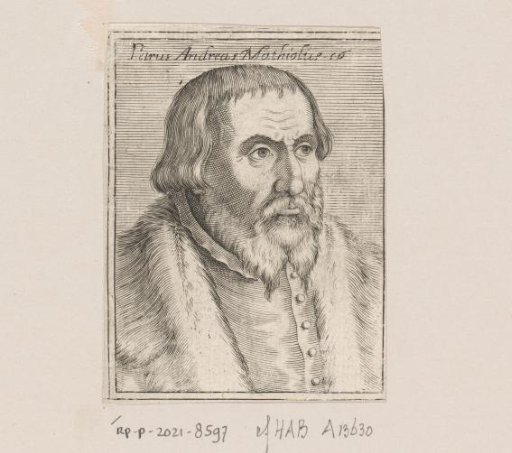 Portrait of Pietro Andrea Mattioli
