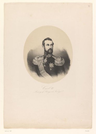 Portrait of Charles XV of Sweden