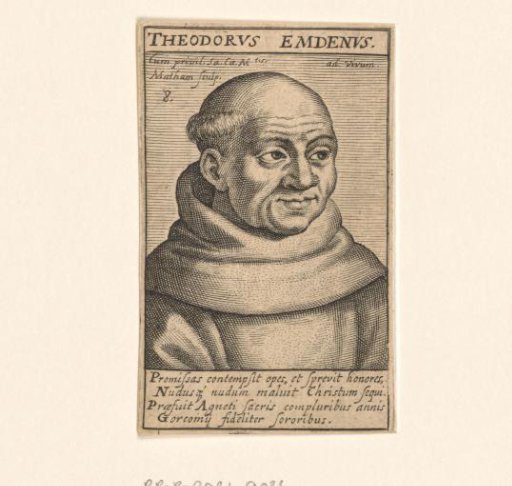 Portrait of Theodorus van der Eem