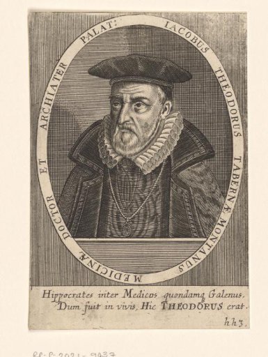 Portrait of Jacobus Theodorus Tabernaemontanus