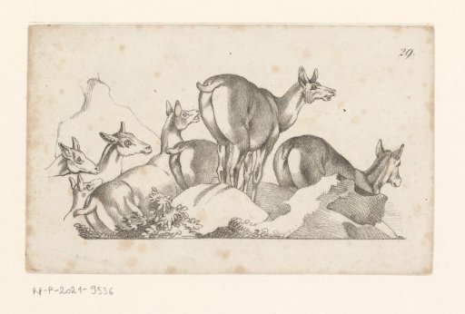 Landscape with a herd of even-toed ungulates, possibly llamas