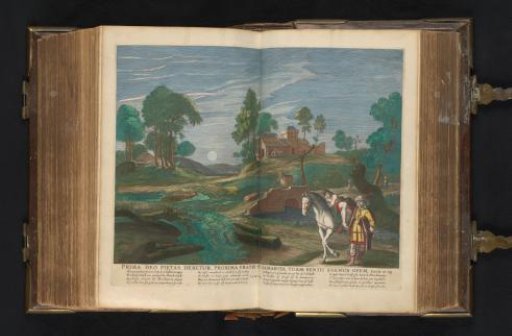 The Good Samaritan