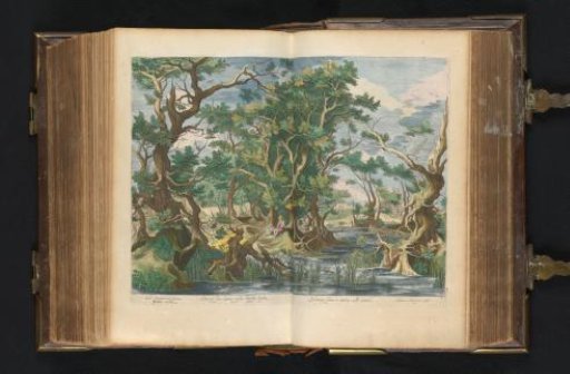 John the Baptist in a Marsh Landscape