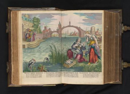Moses in the Basket of Reeds