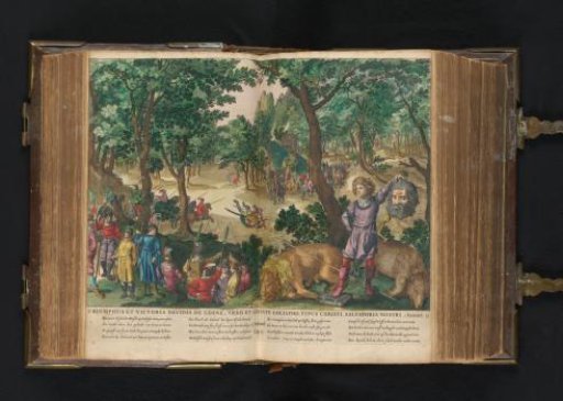 The triumph of David