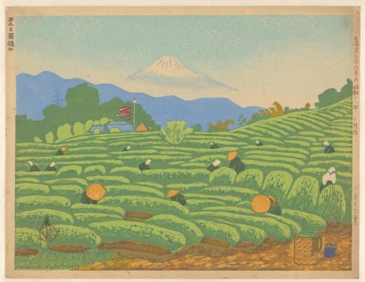 Tea picking and Fuji