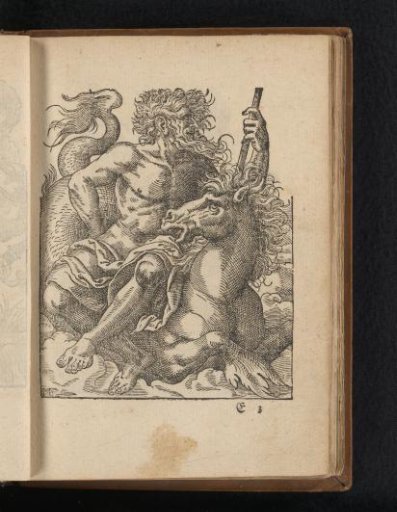 Neptune on a sea-horse