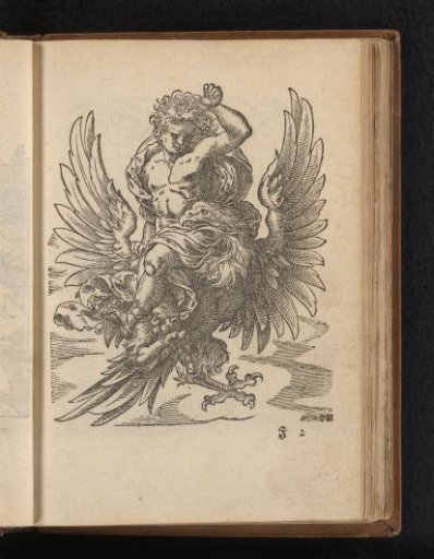 Ganymede abducted by Jupiter