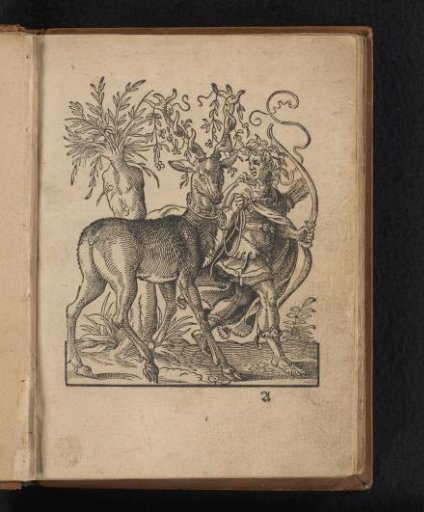 Hunter with a stag