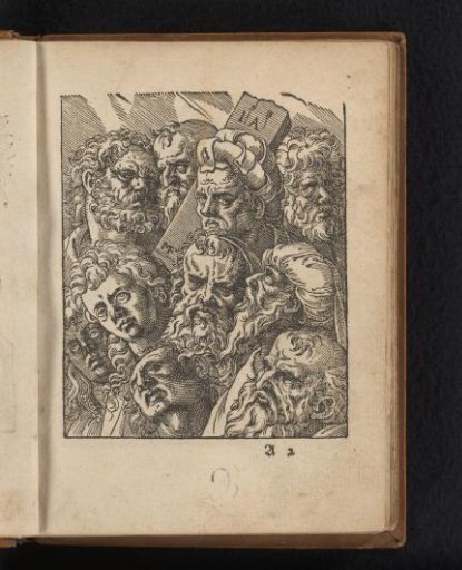 Men's Heads