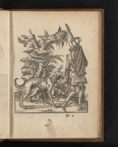 Hunter with hunting dogs