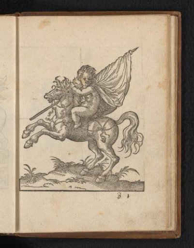 Child with a flag on horseback
