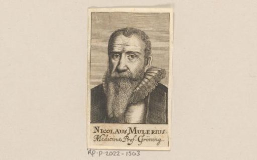 Portrait of Nicolaas Mulerius