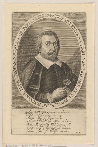 Portrait of Petrus Mulerius