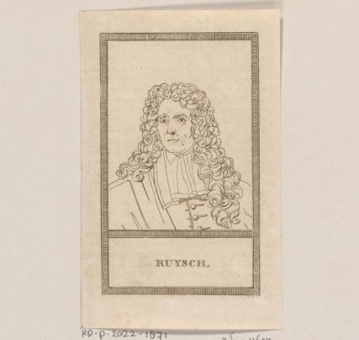 Portrait of Frederik Ruysch