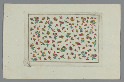 Insects and flowers