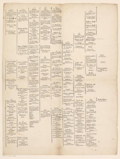 Pedigree of the Van Wassenaer family