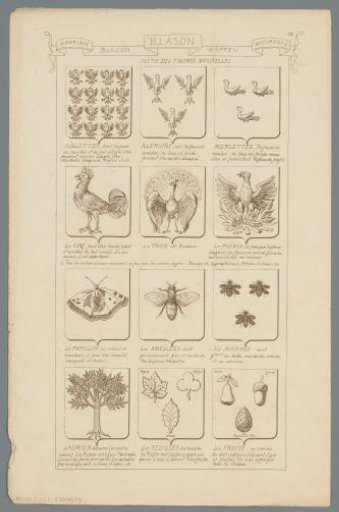 Examples of Coats of Arms with Animals and Plants