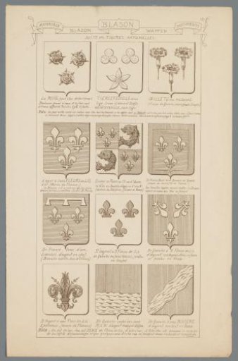 Examples of Coats of Arms with Plant Motifs and Water