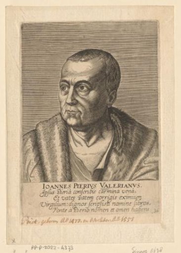 Portrait of Giampietro Valeriano