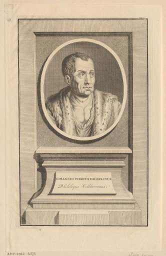 Portrait of Giampietro Valeriano
