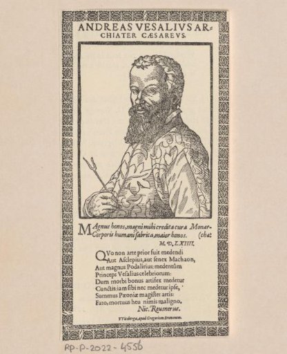 Portrait of Andreas Vesalius