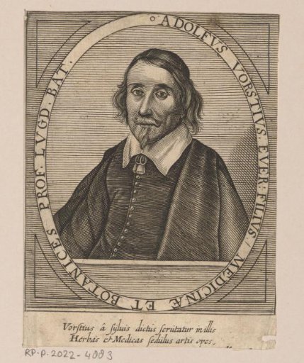 Portrait of Adolph Vorstius
