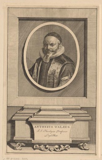 Portrait of Anthony de Wale