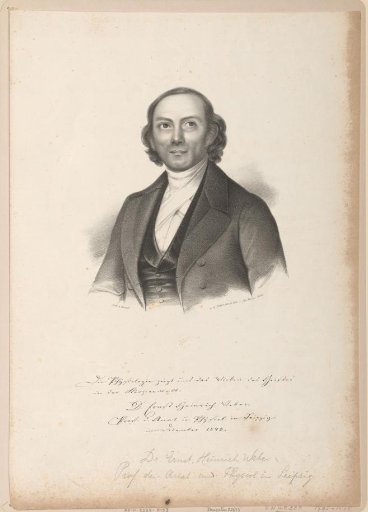 Portrait of Ernst Heinrich Weber