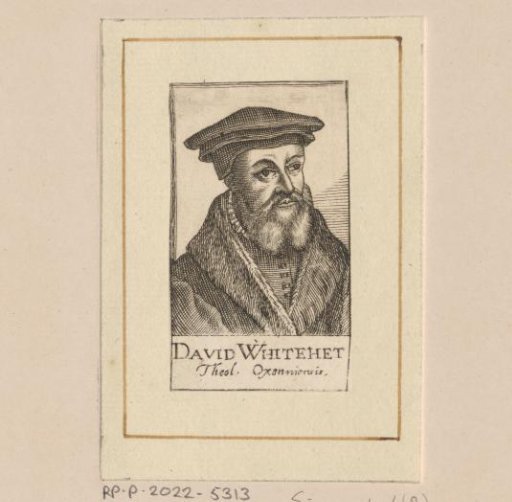 Portrait of David Whitehead