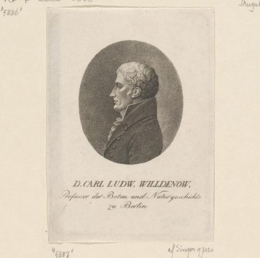 Portrait of Carl Ludwig Willdenow