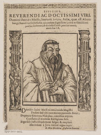 Portrait of David Meis