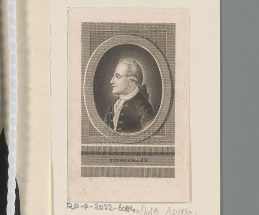 Portrait of Johann Georg von Zimmermann