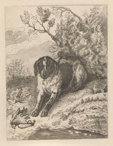 Lying dog with two dead birds
