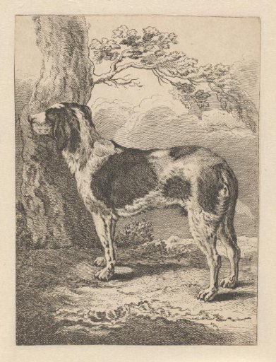Standing dog by a tree, to the left