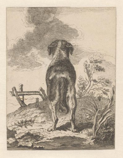 Standing dog from behind, by a fence to the left