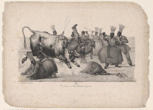 Bullfight