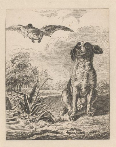 Seated dog with a flying duck