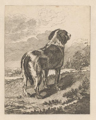 Standing dog seen from the rear, looking at a house to the right