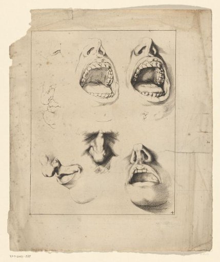 Studies of nose and mouth