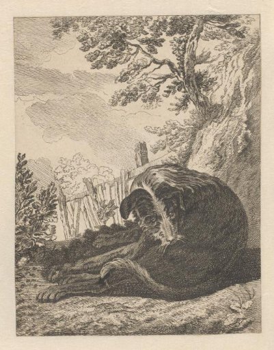 Seated dog licking its hindquarters