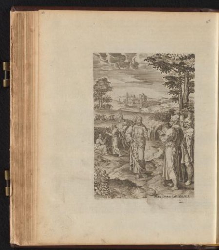 Gleaning of corn on the Sabbath