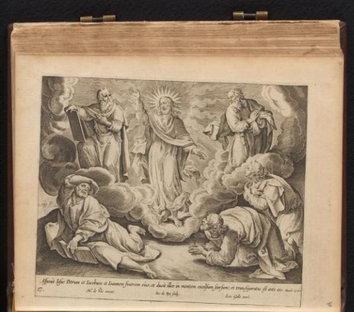 Transfiguration