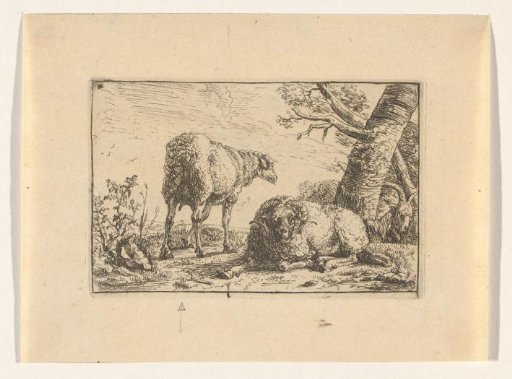 Two sheep and a goat