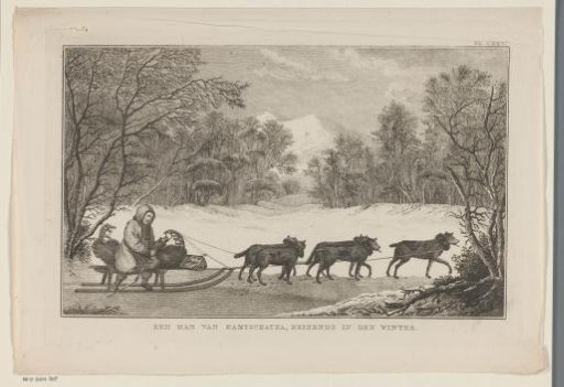 Man with a dog sled