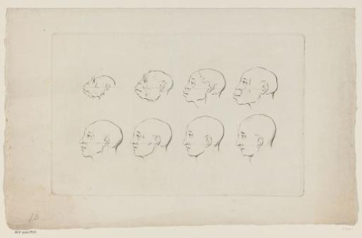 Two heads of monkeys and six heads of men in profile