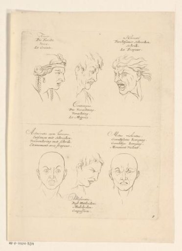 Expressions of fear, contempt, terror, wonder, pity and violent motion