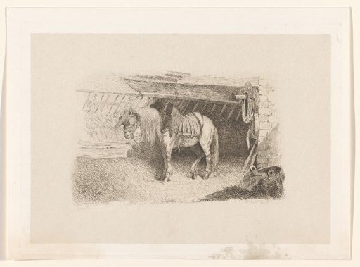 Horse in a stable